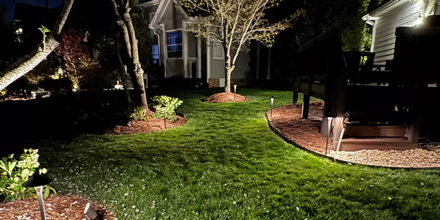 Illuminated backyard at night featuring well-lit trees, mulched flower beds, a lush green lawn, and outdoor pathway lighting creating a tranquil setting.